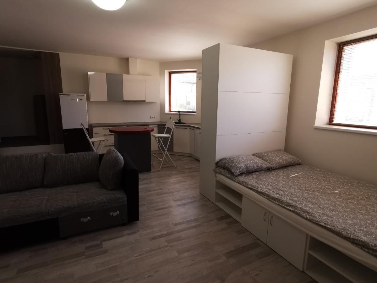 Saulelydzio Apartamentai Palanga Buitenkant foto